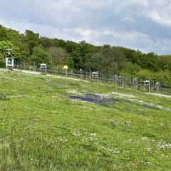 22-05-02 14-01-21 0730